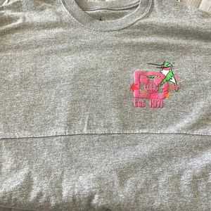 Disney “friends” spirit jersey